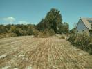 Acheter Terrain 2806 m2 Charme