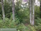 Vente Prestige Neuvy-sur-barangeon 18