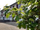 Louer Appartement Faucogney-et-la-mer 404 euros