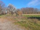 Vente Terrain Villemur-sur-tarn 31
