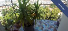 For sale Apartment Marseille-13eme-arrondissement  13013 56 m2 3 rooms
