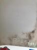 Location Appartement Vanves 92
