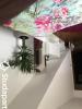 Annonce Location Appartement Igny