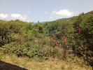 Vente Maison Saint-pons-de-thomieres 34