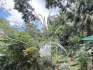 Annonce Vente Terrain Avirons