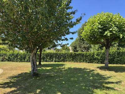 photo For sale Land BRANDIVY 56