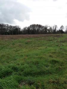 photo For sale Land CASTELNAU-DE-MEDOC 33