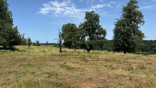 Vente Maison VIETHOREY 