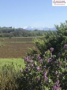 For sale House LEZAT-SUR-LEZE 