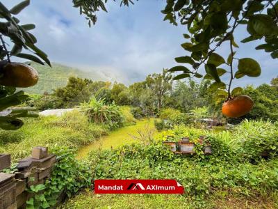 Vente Maison SALAZIE 
