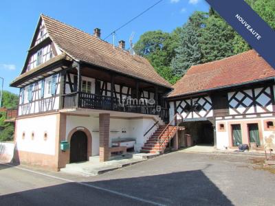 photo For sale House LANGENSOULTZBACH 67