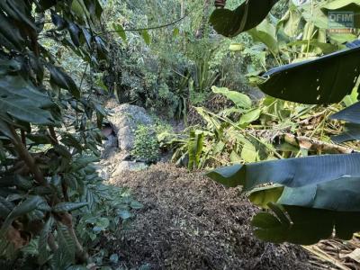 For sale House RIVIERE-SAINT-LOUIS