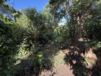 Vente Maison RIVIERE-SAINT-LOUIS