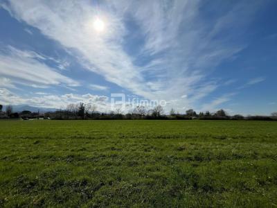 photo For sale Land MONTREJEAU 31