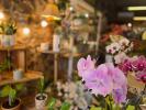 Vente Commerce Saint-pierre 974