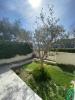 Louer Maison 91 m2 Colle-sur-loup