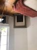 Louer Appartement Bordeaux 730 euros
