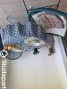 Louer Appartement Antibes 1150 euros