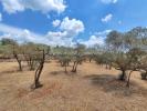 Land VARAGES 