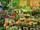 Vente Commerce Bocca 06