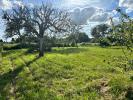 Land COULANGES-LES-NEVERS 