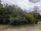 Vente Terrain Souligne-flace 72