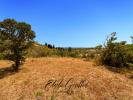 Land CAUNES-MINERVOIS 