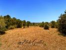 Land CAUNES-MINERVOIS 