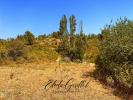 Land CAUNES-MINERVOIS 