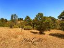 Land CAUNES-MINERVOIS 
