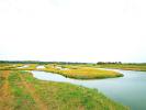 Vente Terrain 85