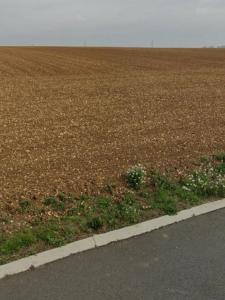photo For sale Land SAINT-XANDRE 17