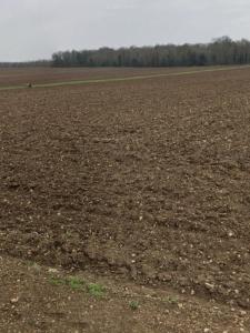 photo For sale Land SAINT-XANDRE 17