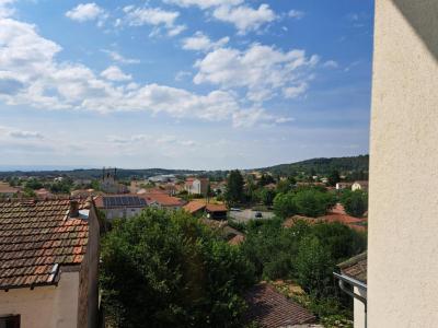 Location Appartement ROZIER-EN-DONZY 