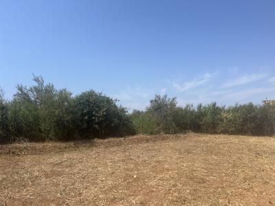 For sale House MARSEILLAN CENTRE VILLE PROCHE PORT