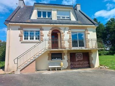 photo For sale House LOCMALO 56