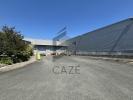 Louer Commerce 1465 m2 Haillan