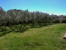Vente Maison Carcassonne 11000 2 pieces 1650 m2