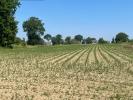 Land SIXT-SUR-AFF 