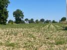 Land SIXT-SUR-AFF 
