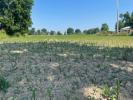 Land SIXT-SUR-AFF 
