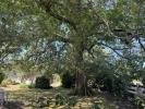 Acheter Maison 92 m2 Pontenx-les-forges