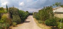 Annonce Vente 8 pièces Maison Canet