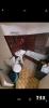 Apartment AUCH 