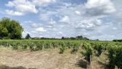 Acheter Terrain  850000 euros