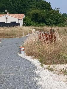 photo For sale Land SAINT-PALAIS-SUR-MER 17