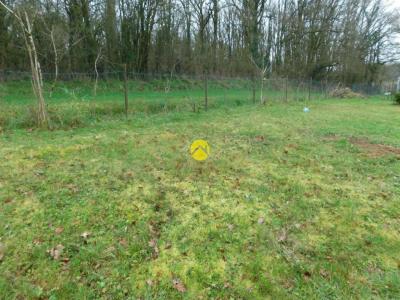 Vente Maison VIERZON 