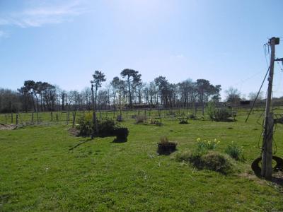 Vente Maison 2 pièces LANGON 33210