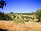For sale Land Brue-auriac 83119 931 m2