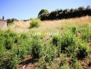 Annonce Vente Terrain Brue-auriac